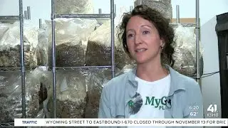 Mushroom supplier cultivates jobs in KC community