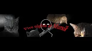Пять ночей с Мурзиком. Альфа