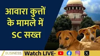 Supreme Court Gets Tough on Stray Dog Menace