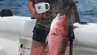 Steinhatchee offshore fishing 2018