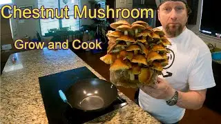 Chestnut Mushrooms - Grow and Cook