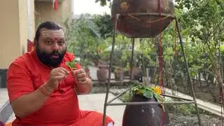 Mahashivratri 2023 | Bhagwan shiv par Bilva patra (bel patta) arpan ki sahi vidhi | Vivek Mudghal |