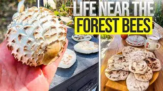 Life Near the Forest  Bees, Foraging and Home Cooking