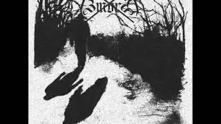 Zmora - Czarne Całuny Nocy