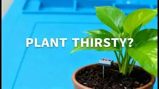 DIY Soil‑Moisture Alarm 🌱 | No Button Needed | Auto‑Alert When Plant Gets Thirsty