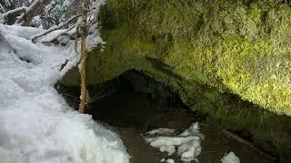 Trail of Two Forests, part 2, 2160p60