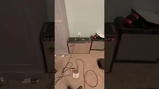 Origin Effects RevivalDrive into Deluxe Reverb