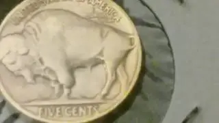 Gold plated buffalo nickel
