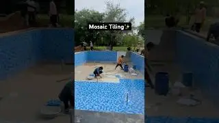 Mosaic tile and swimming pool deck preparation 😎#swimmingpool #jaipur #homedecor #yt #construction