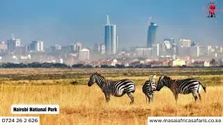 🌟 Best Team Building Venues & Hotels in Nairobi | Masai Africa Safaris 🌟