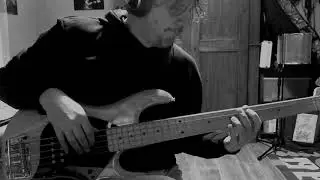 Through the fire (Ole Bored) - Cover bass by Leonardo Peruzzi