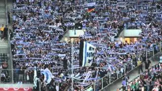 Ultras Snippet - Ultras MSV Duisburg