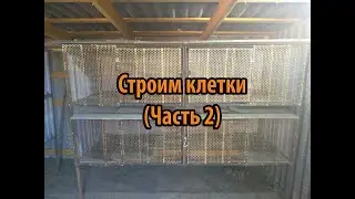ПОШАГОВОЕ СТРОИТЕЛЬСТВО ДВУХЪЯРУСНОЙ КЛЕТКИ.  Часть 2.