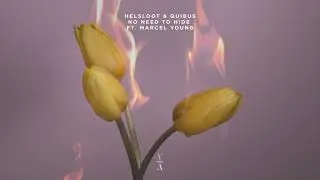 Helsloot & Quibus - No Need To Hide feat. Marcel Young