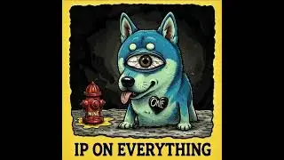 IP ON EVERYTHING (IT HURTS WHEN I PEE)