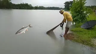 Local fishing video 😀|Traditional fishing 🐠| Village Fishing India ✨🔥