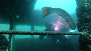 Tech Diving Training at Dutch Springs - August 29, 2020