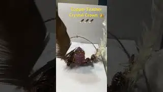 Handcrafted Copper Crystals Feather Crown 👑 🪶🪶🪶4 Healing ❤️&zwj;🩹 Energy