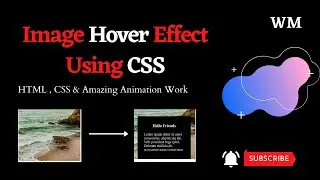 Image Hover Effect with HTML & CSS | Web Design | Image Hover | Web Page |