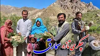 چکری و سمارق تازه وطن از کوه های سرسبز کمرک ❤😍🇦🇫🦋