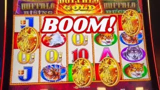 When You Raise the Bet and Buffalo Triple Power Answers! 💰