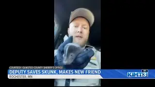 Deputy saves a skunk, makes a new friend!