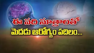 పది సూత్రాలతో మెదడు ఆరోగ్యం పదిలం | 10 Principles for Brain health  | Sukhibhava | ETV Life
