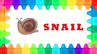 FUN DRAWING  -  SNAIL SIMPLE DRAWING AND COLORING FOR KIDS