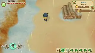 STORY OF SEASONS - Friends of Mineral Town Trainer +24