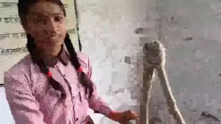 Corn Seed Extraction Machine @ UPSBHOJPUR NIGOH 