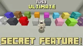 Minecraft: Tu53 Ultimate Secret Feature!