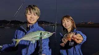 宗像大島でまるっと釣行！冬のライトゲーム攻略（福岡県）【釣りビジョン番組紹介】