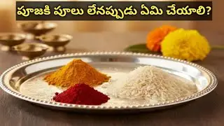 పూజకి పూలు లేనప్పుడు మనం ఏమి చెయ్యాలి? How to perform puja with out flowers? @sreenivasamvlogs 