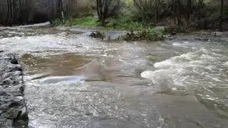 Big Tujunga Creek at Vogel Flats