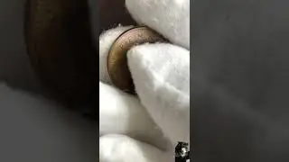World Coin: New Penny from UK, 1973