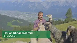 Gro&szlig;e Beutegreifer in Tirol &ndash; Die Bedeutung der Almwirtschaft