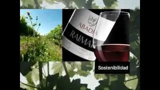 Descubre las bodegas Raimat