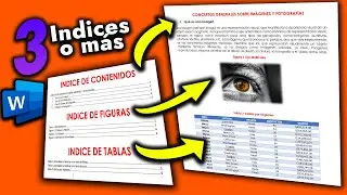 c&oacute;mo hacer varios Indices de Word en un mismo documento