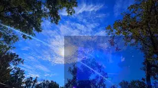 Full Harvest Moon / Bumble Bee/ Abe Sapien/ Dance Music October 11, 2025
