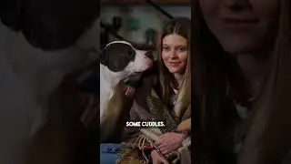Why Do Dogs Lick You? The Real Reason Might Surprise You! 👅🐶