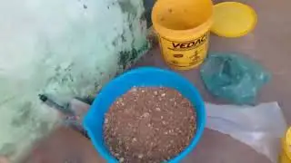 Dicas para pesca de curimbas