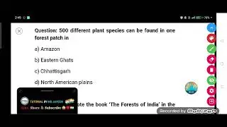 500 different plant species can be found in one forest patch in :-