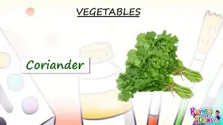 Vegetable Names with Pictures | Different Types of Vegetables | vegetables name in english | Kids