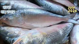 ইলিশ মাছের দাম হাওড়া মাছের বাজার জুলাই 2024 || hilsa price today Kolkata || ইলিশের দাম আজ কলকাতা