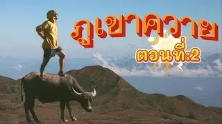 ภูเขาควาย สปป.ลาว (ตอนที่2) (คืนที่2)