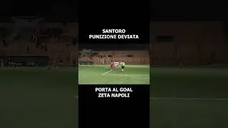 PUNIZIONE DI SANTORO