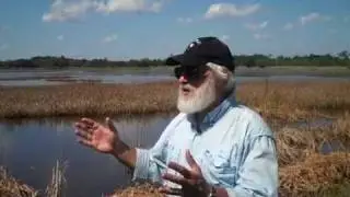 MUSC's Dr. Louis Guillette and his work with Gators