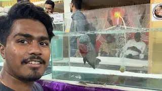 PETEX HYDERABAD |DOG SHOW |