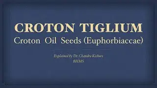 Croton Tiglium || Allen&rsquo;s Keynotes || Well Explained