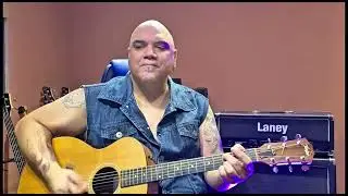 Into My Life | Men at Work | Acoustic 